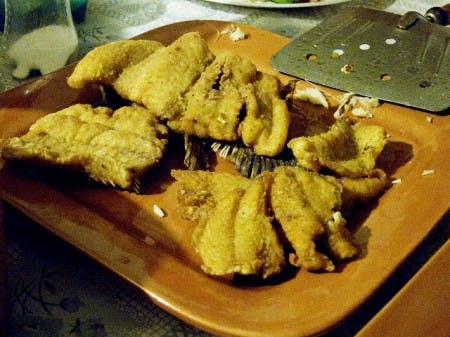fried cod
