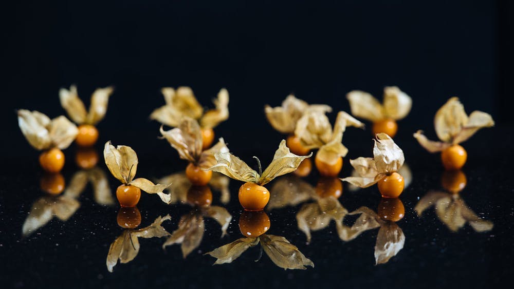 Contact Pineapple & Pearls