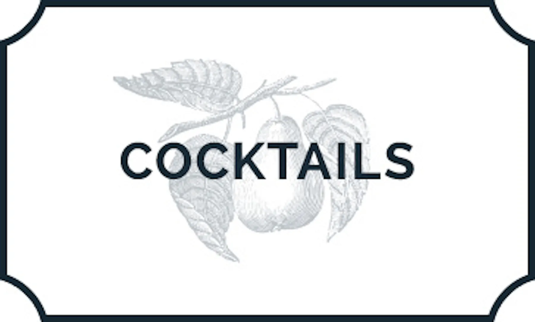 Beer, Cocktails & Wine by the Glass