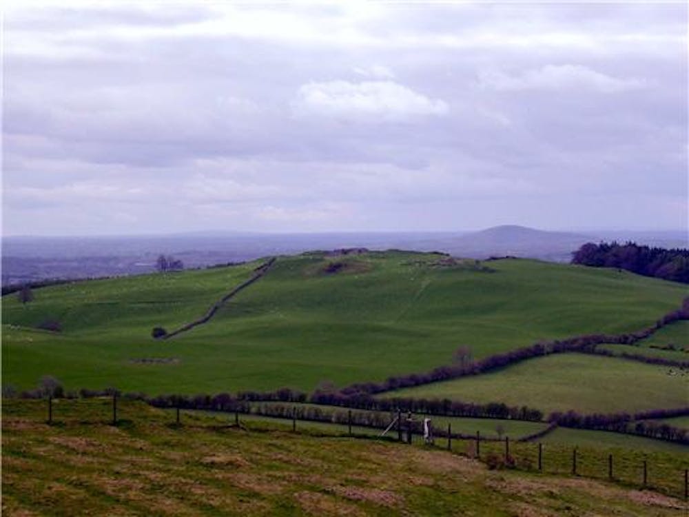 Hill of Tara  Heritage Ireland