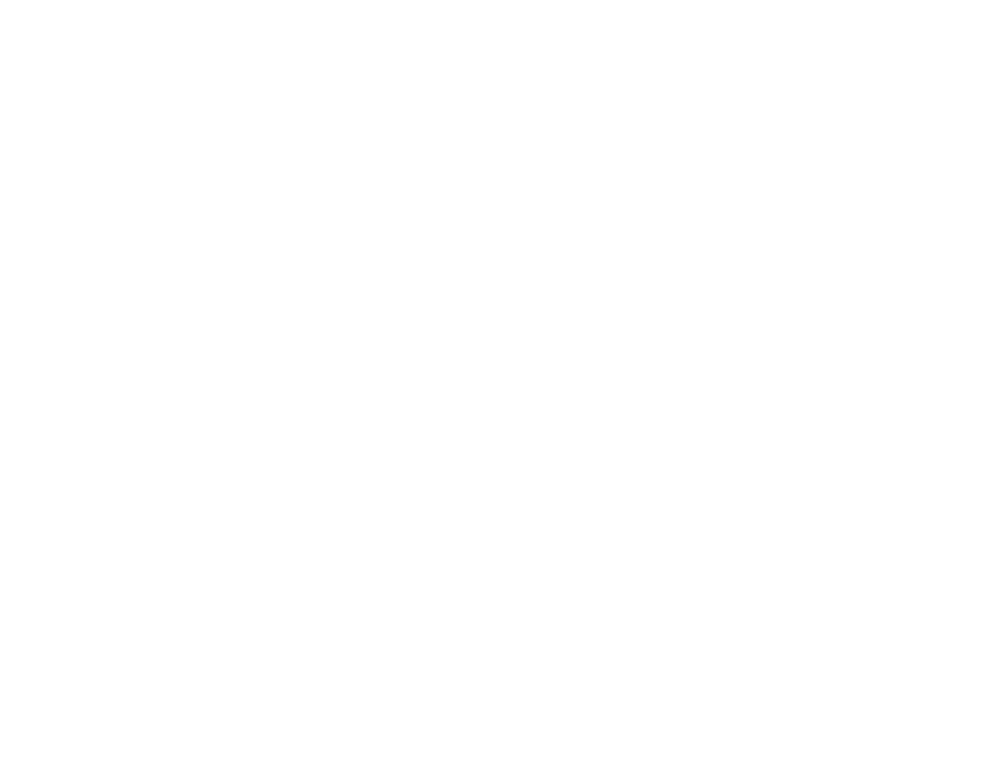 The Amsterdam Rhinebeck NY