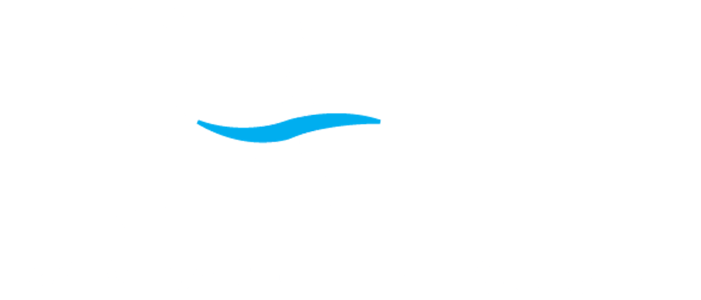 Salt Raw Bar Site