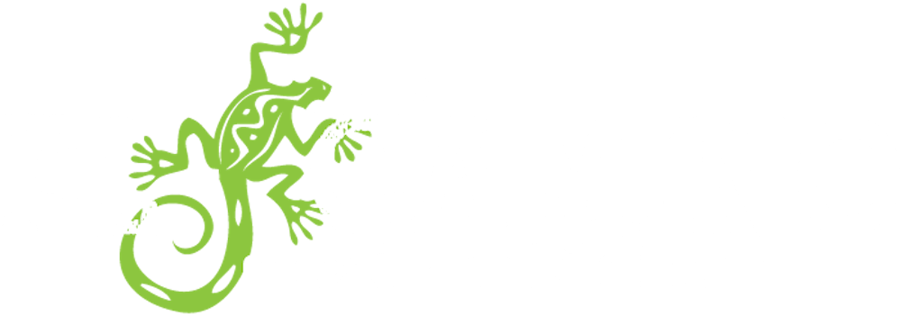 El Camino Mexican Kitchen | Mexican Restaurant in Wilmington, DE