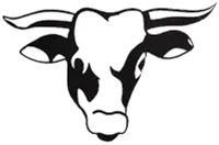 Asada