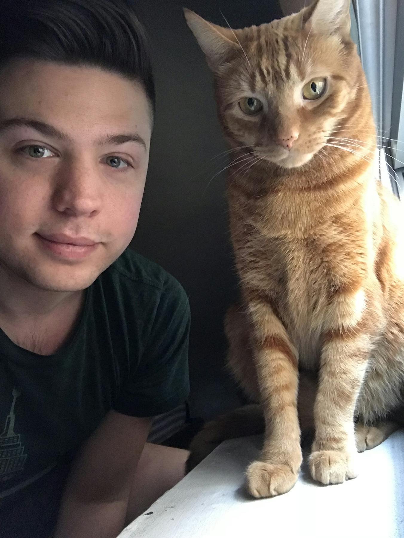 a cat that is looking at the camera