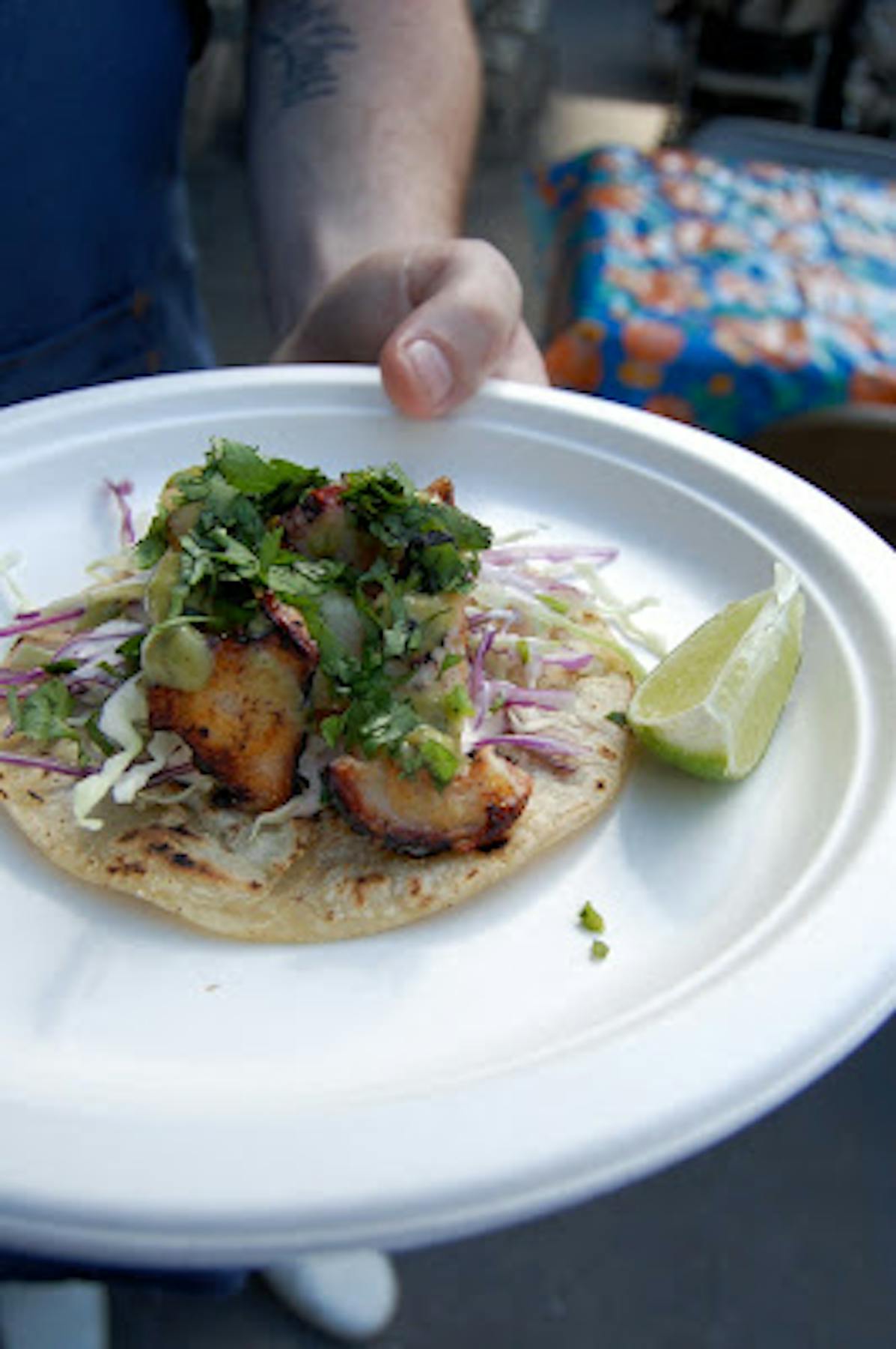 a plate of fish taco