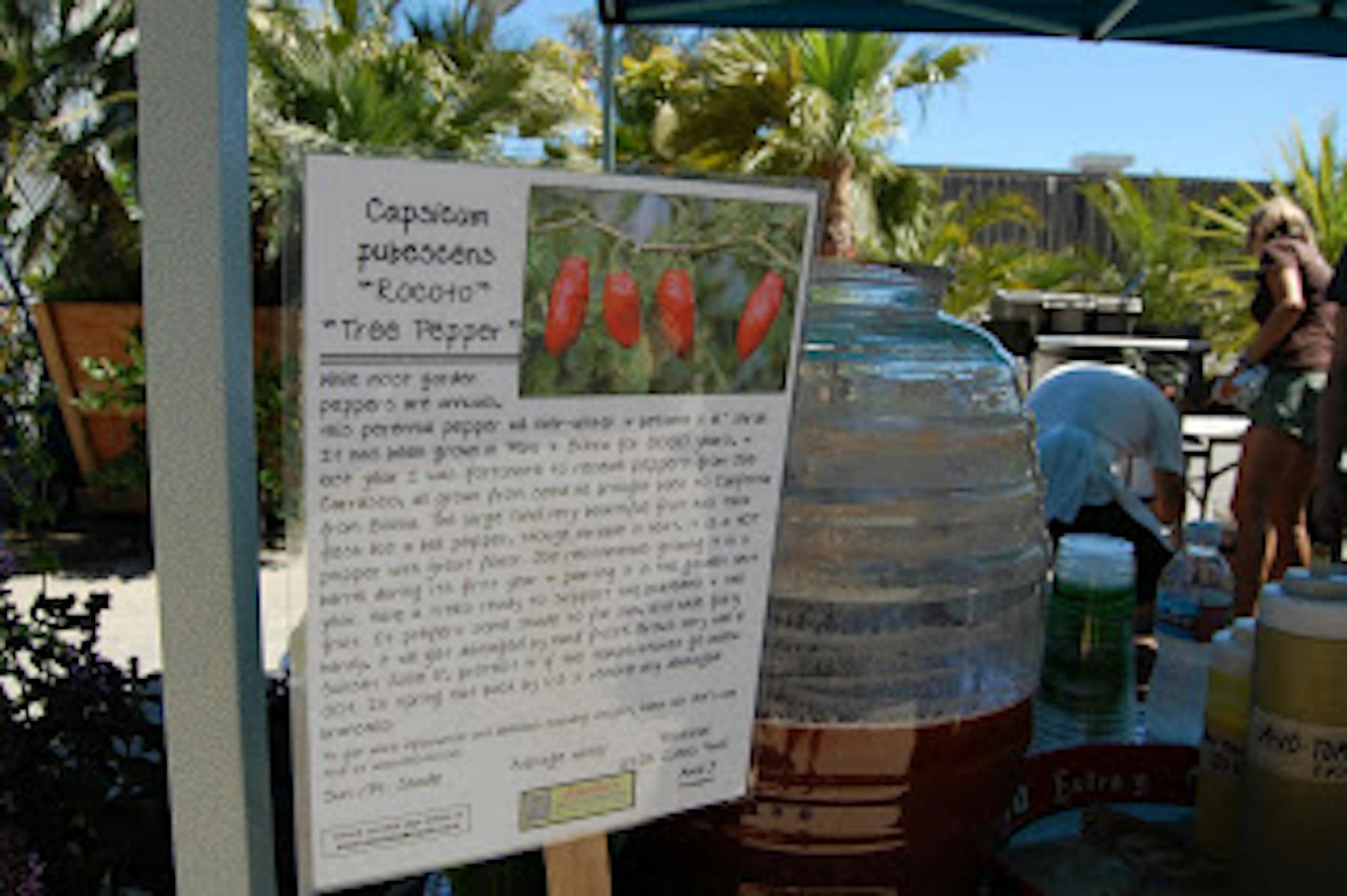 a paper showing information of chilies