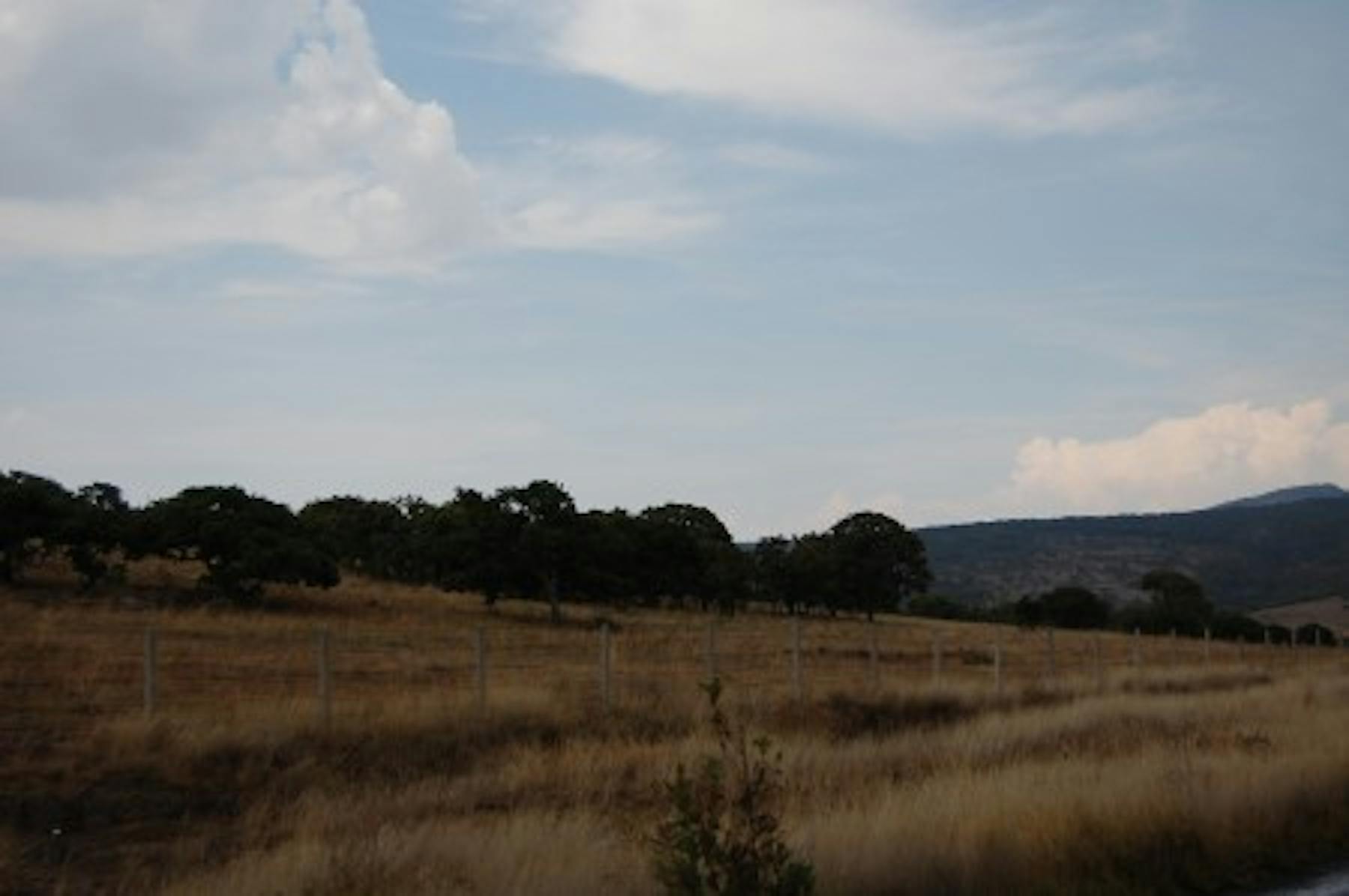 san miguel drive afternoon
