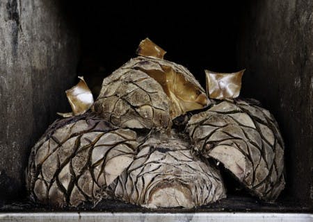 _F7U4068 post roasted pineapples