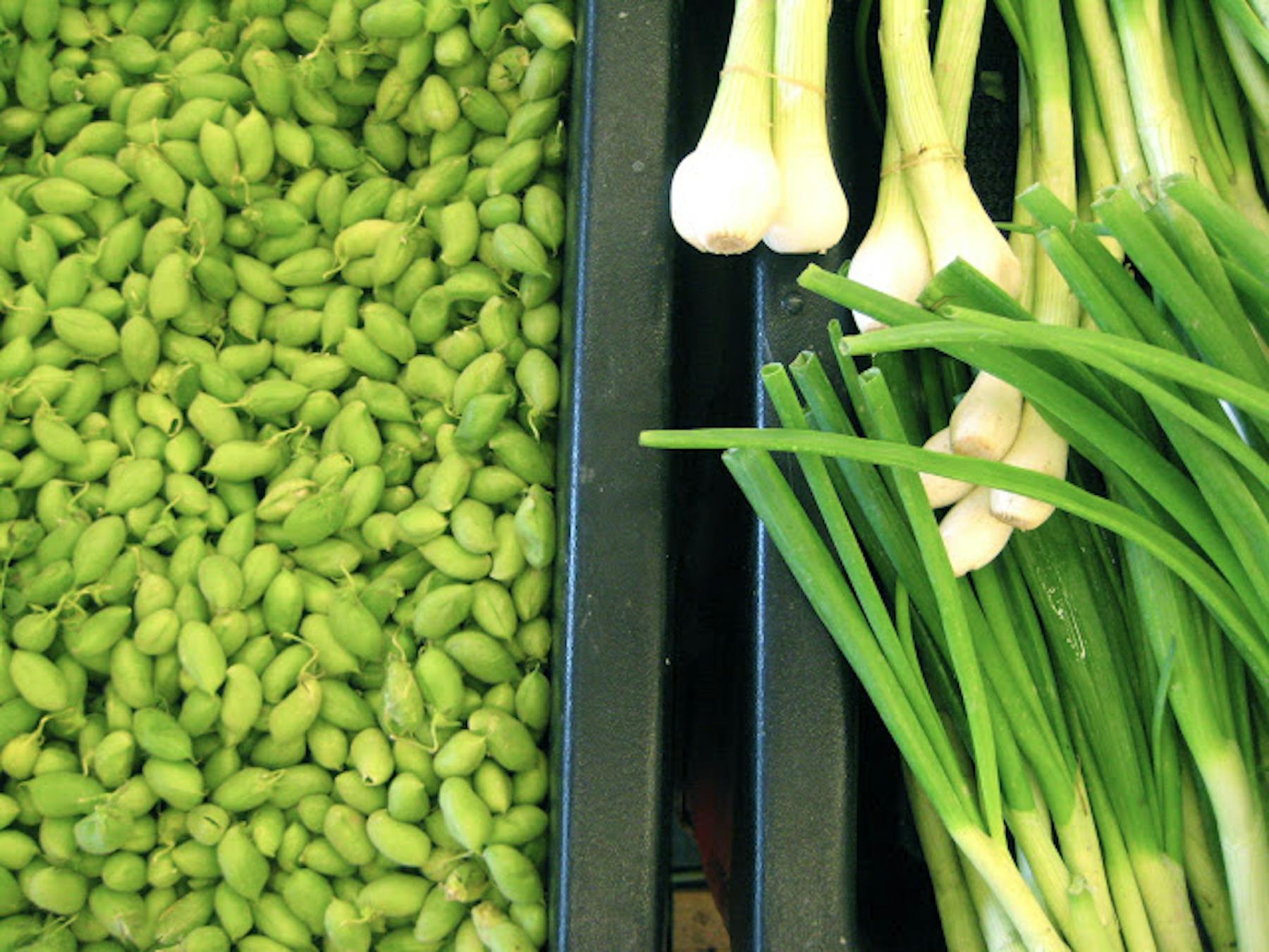 Fresh chickpeas and spring onions.