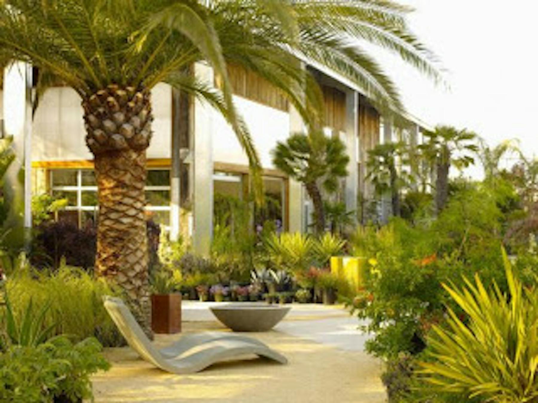 a resort showing palm trees and a seat