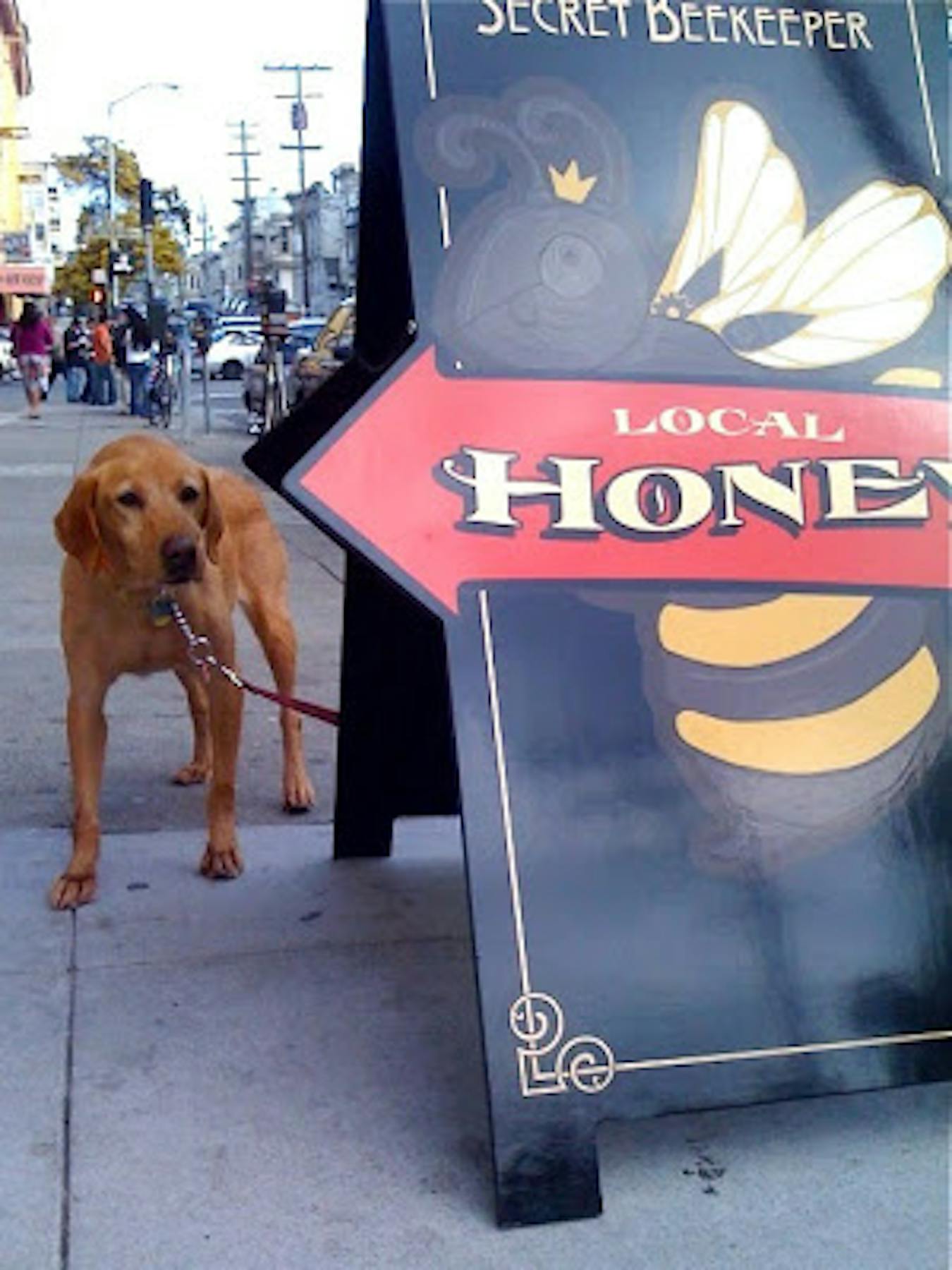 local honey sign and a dog beside