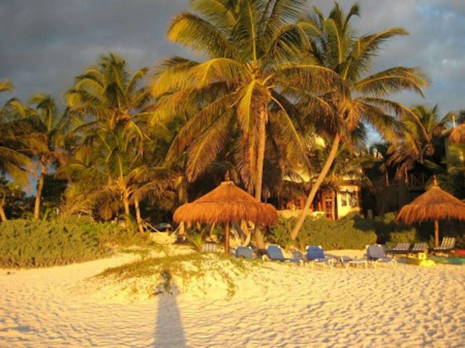 the beach casa de las palmas