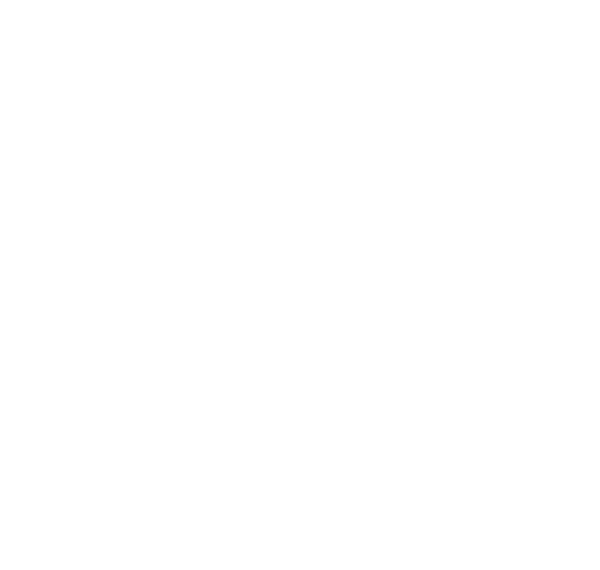 Blue Collar Miami