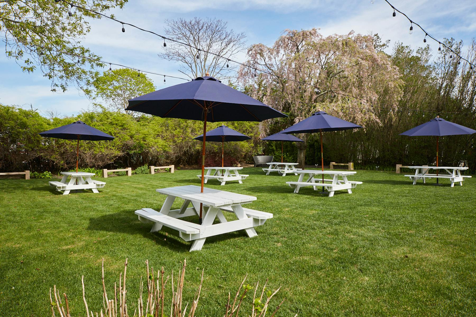 Southampton Social Club